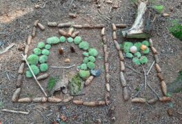 Land art v lese Ochoza