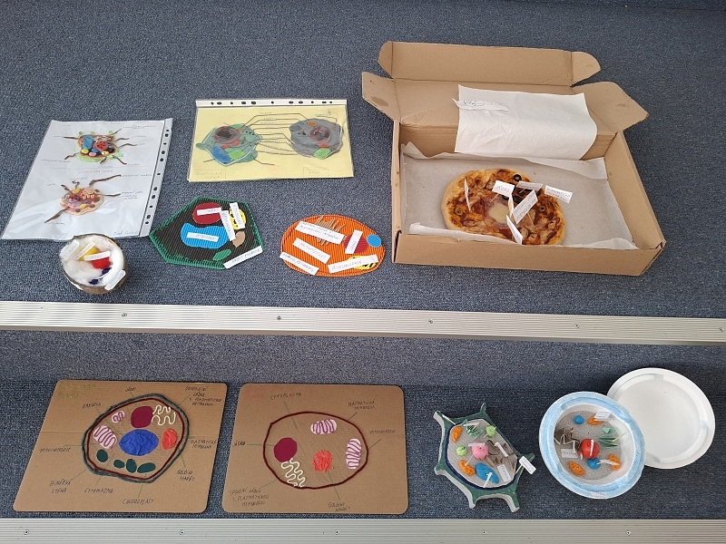 Buňka – základní stavební jednotka všeho živého