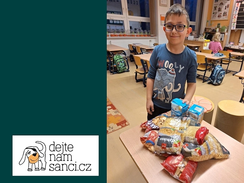 Předvánoční pomoc pejskům