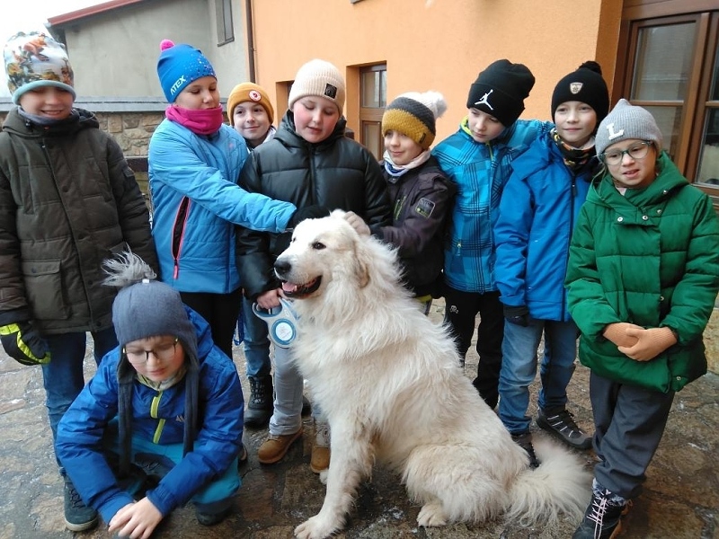 Učení, které dává smysl