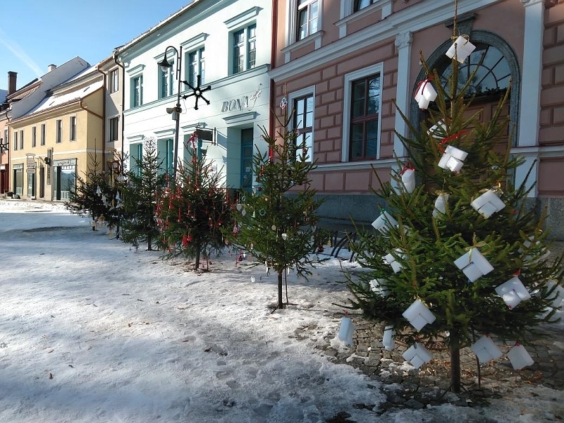 Vánoční stromečky vítají advent