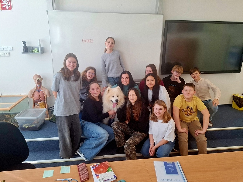 Kamarádi z říše zvířat