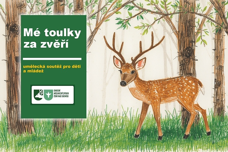 Mé toulky za zvěří